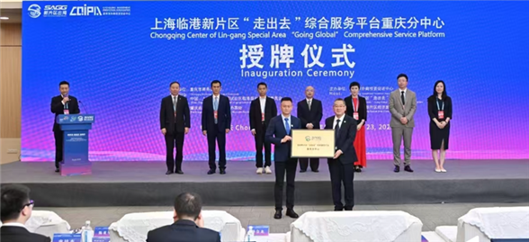 图片2